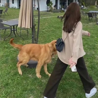 爱在炊烟袅袅时